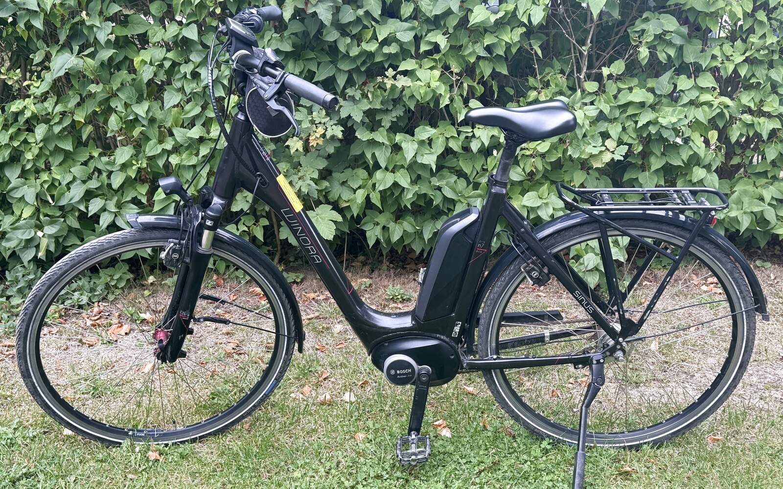 Pedelec E-Bike