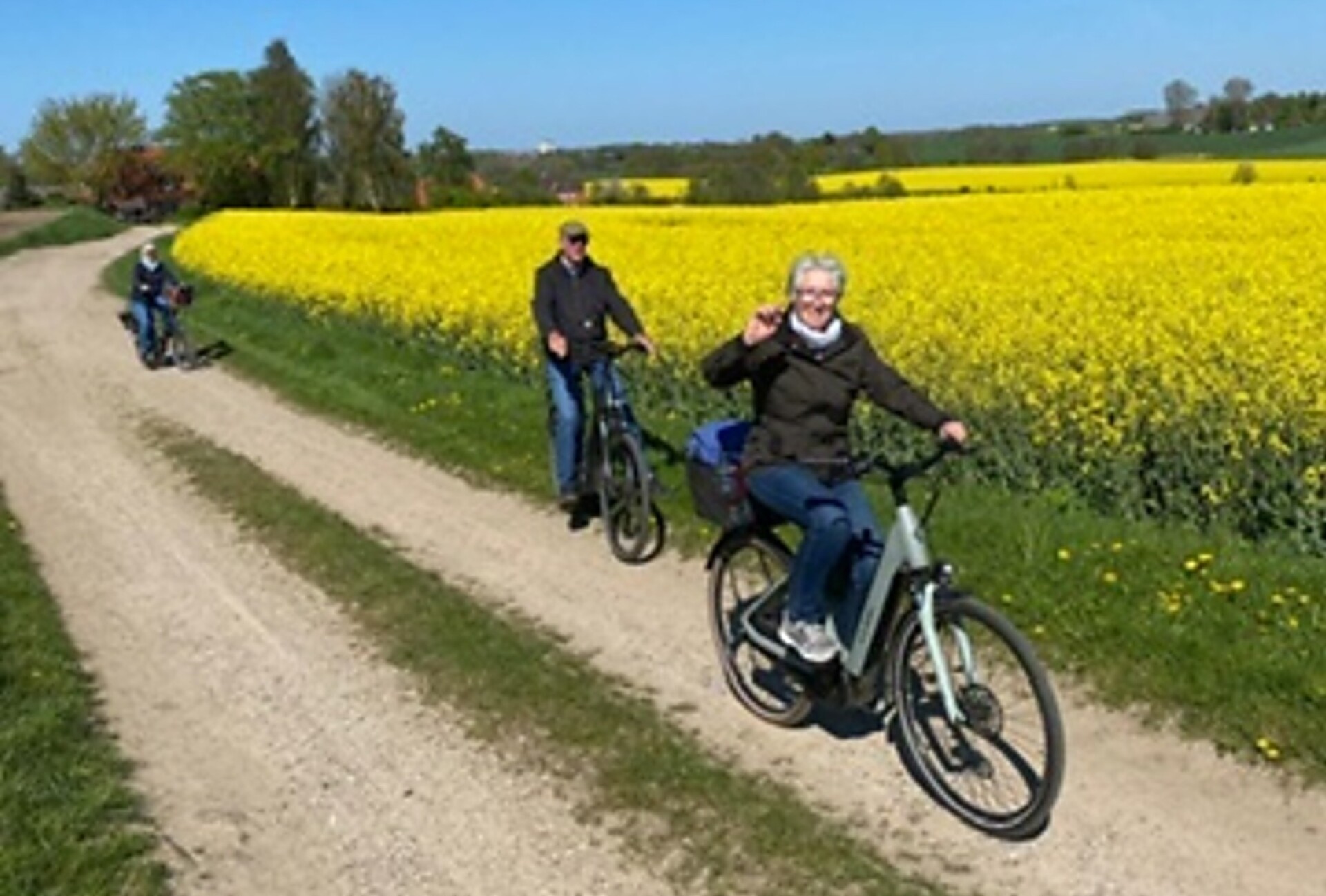 Radgruppe auf dem Weg durchs Rapsfeld